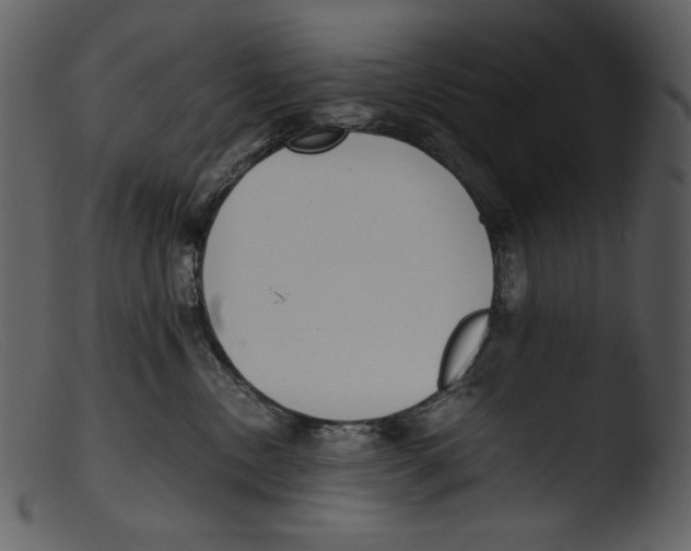 X0000103270378200809261208