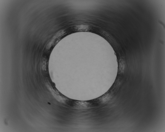 X0000103270379200809261208