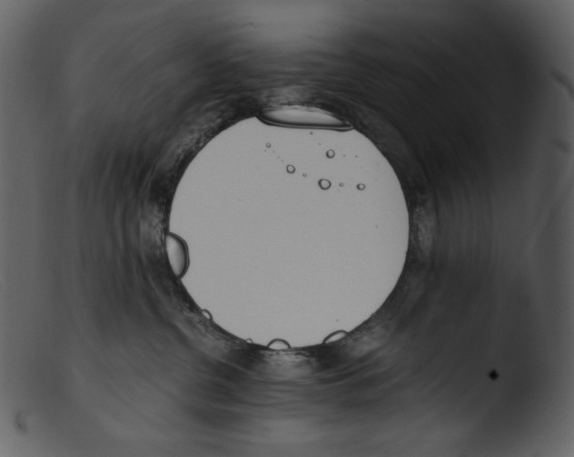 X0000103270380200809261208
