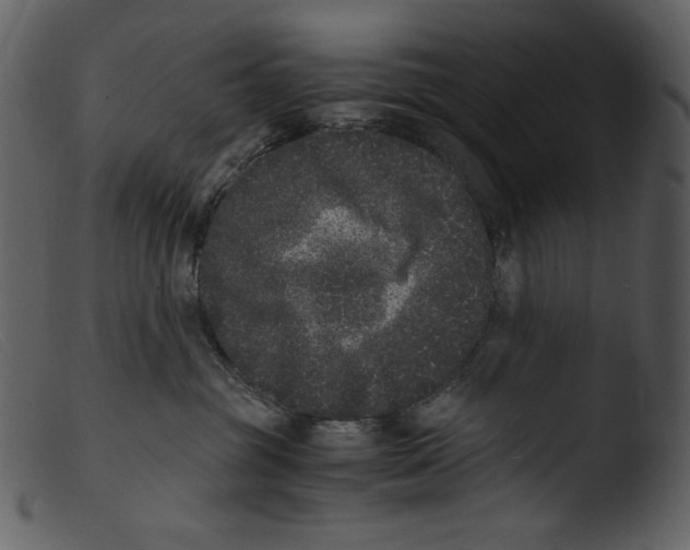 X0000103270381200809261208