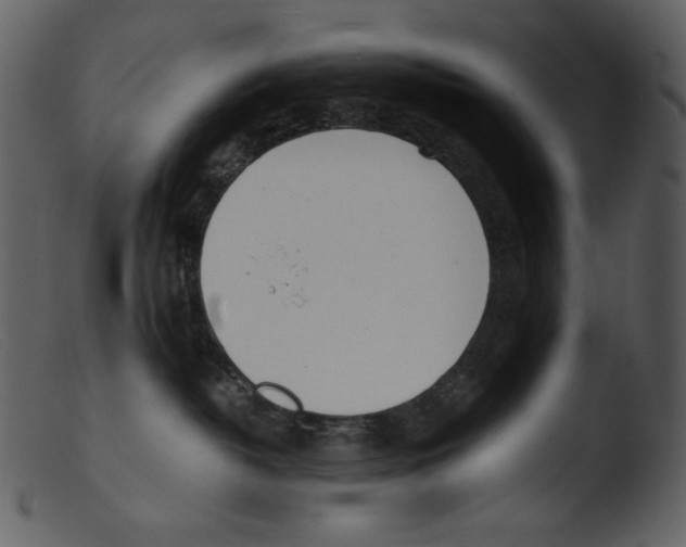 X0000103270382200809261208