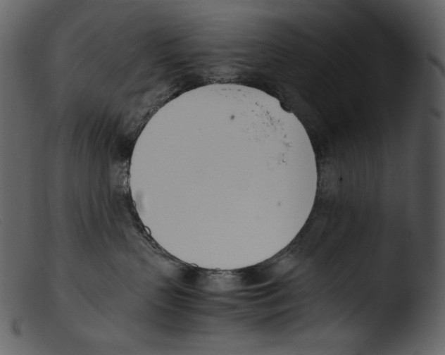X0000103270383200809261208