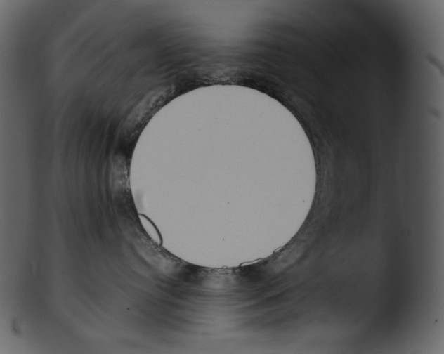X0000103270384200809261208
