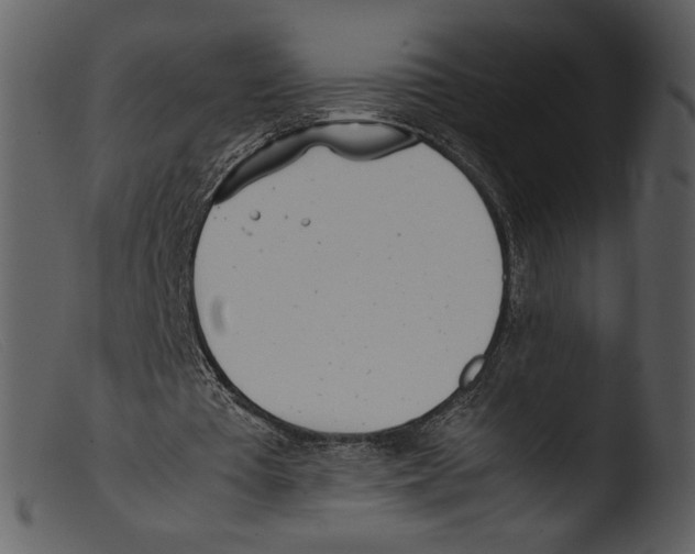 X0000103270385200809261207