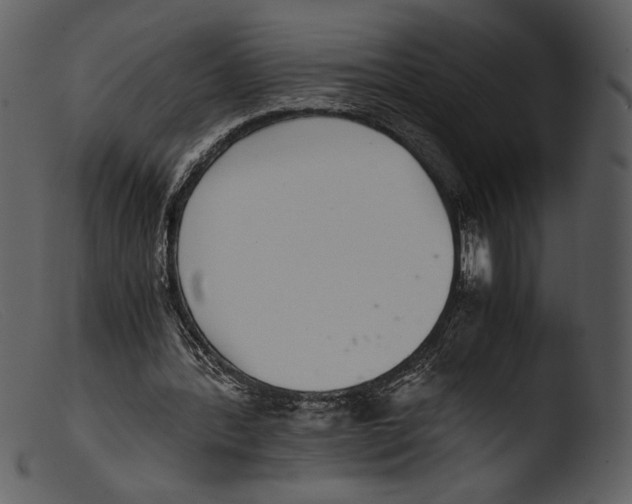X0000103270388200809261207