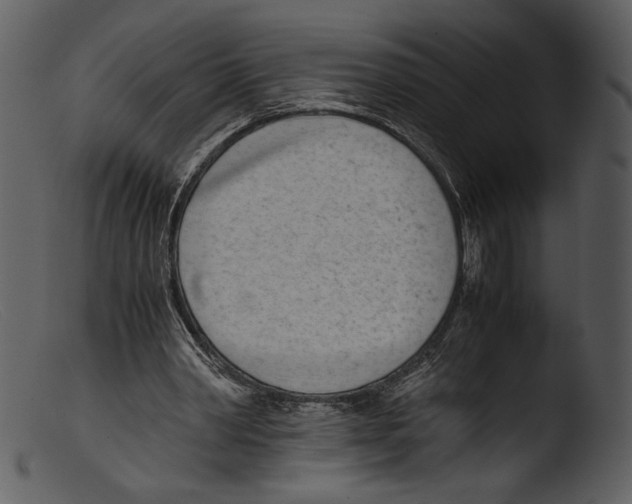 X0000103270390200809261207