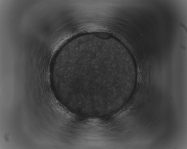X0000103270391200809261207