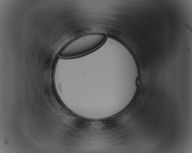 X0000103270395200809261207