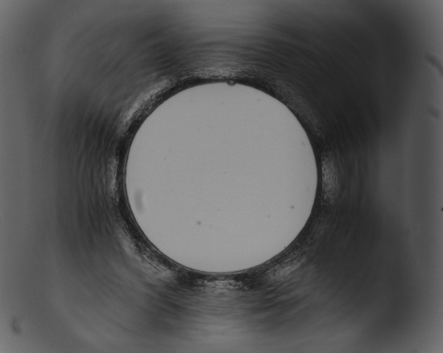 X0000103270396200809261207