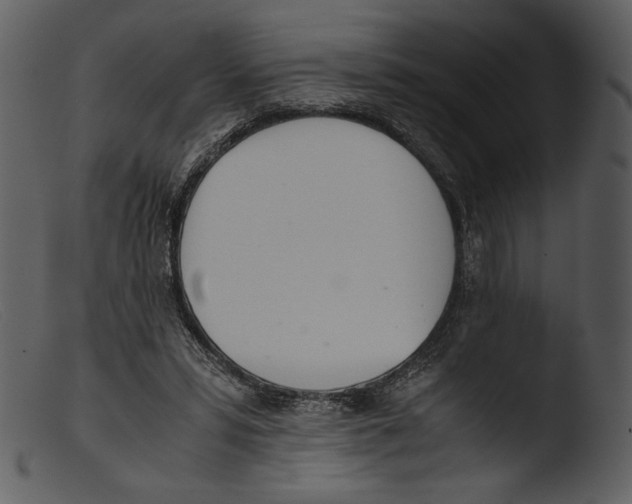 X0000103270399200809261207