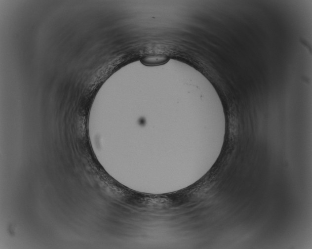X0000103270401200809261207