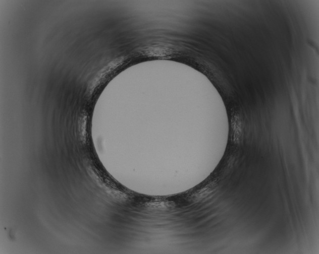X0000103270404200809261207