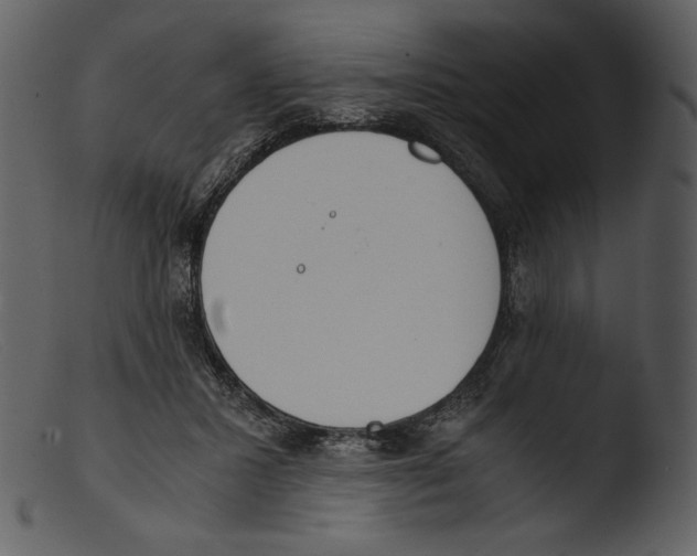 X0000103270407200809261207