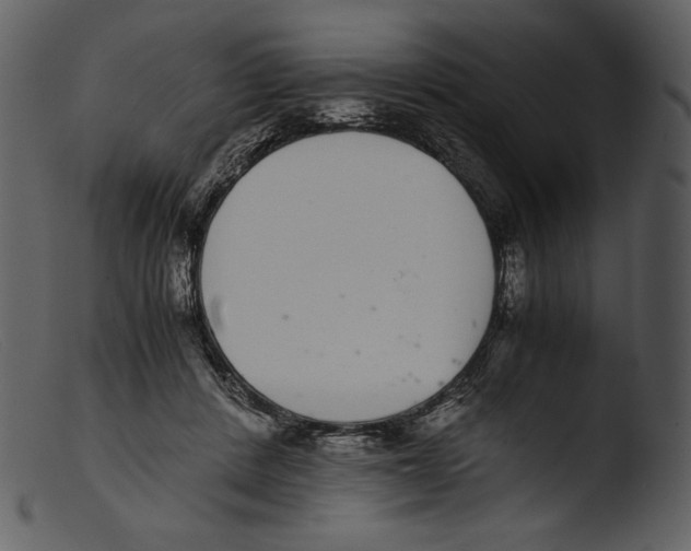X0000103270408200809261207