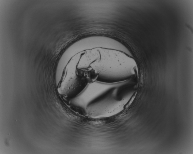X0000103270411200809261207