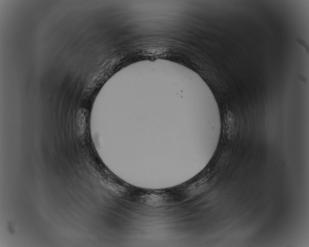 X0000103270412200809261207