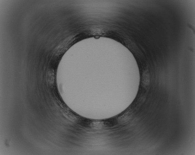 X0000103270413200809261207