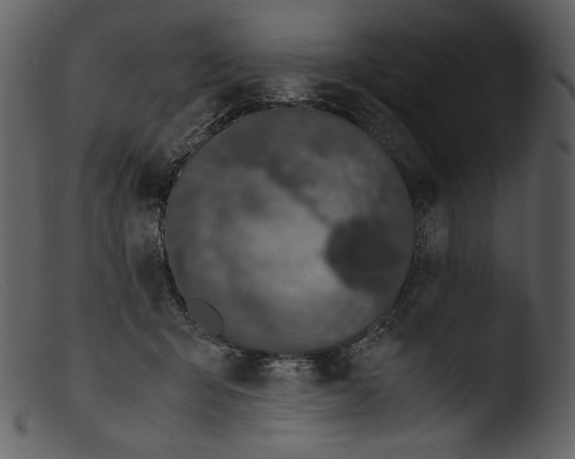 X0000103270415200809261206