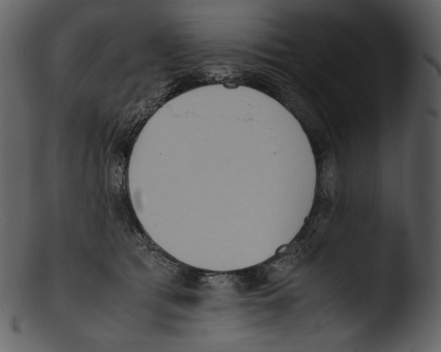 X0000103270417200809261206