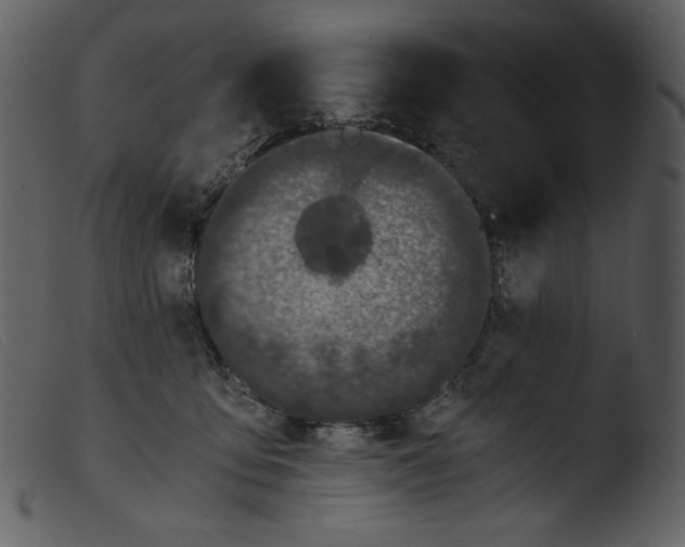 X0000103270419200809261206