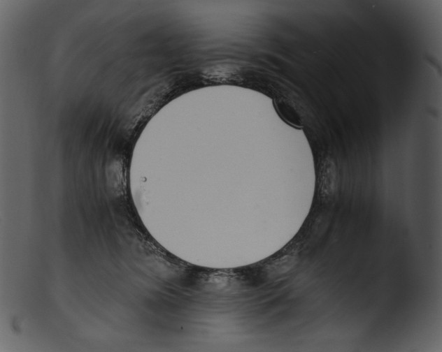 X0000103270420200809261206