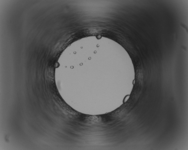 X0000103270421200809261206