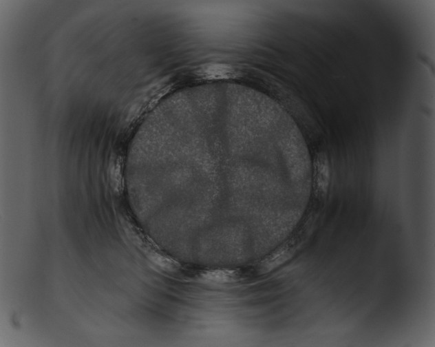 X0000103270422200809261206