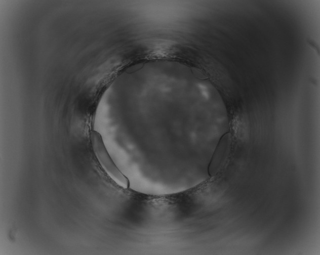 X0000103270423200809261206