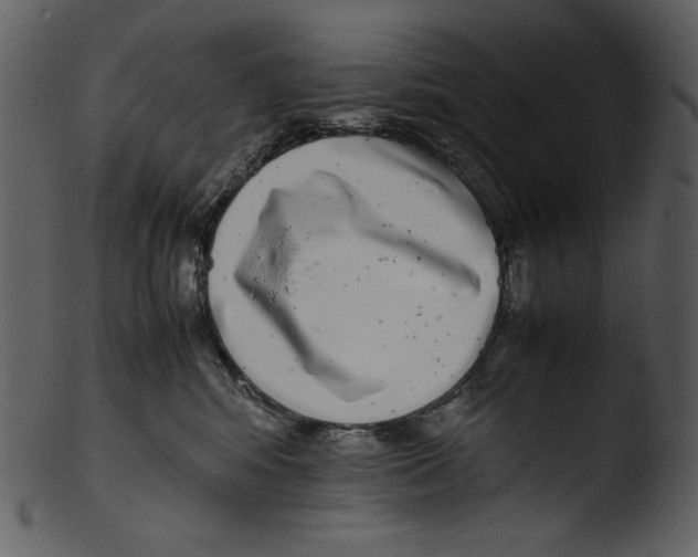 X0000103270424200809261206