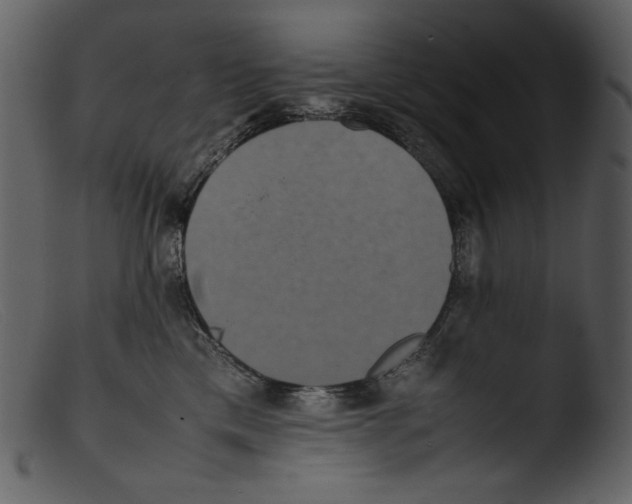 X0000103270425200809261206