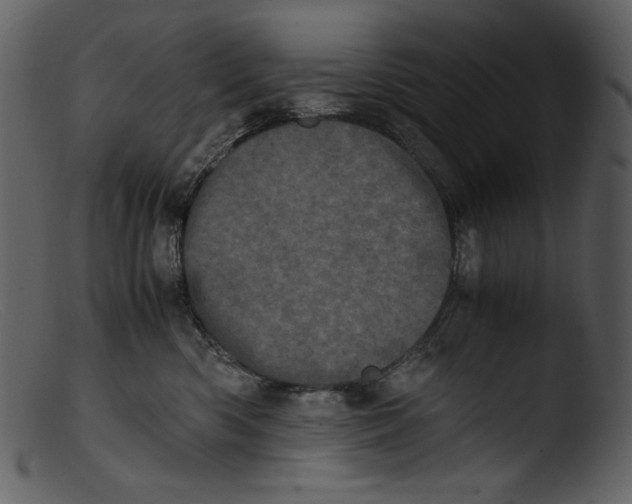 X0000103270426200809261206
