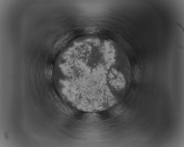 X0000103270427200809261206