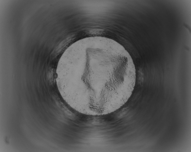 X0000103270428200809261206