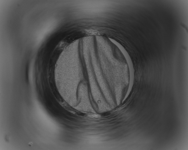X0000103270429200809261206