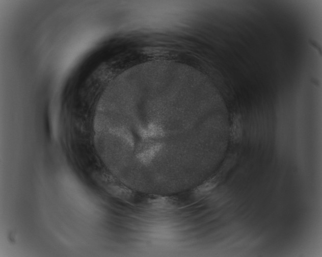 X0000103270430200809261206