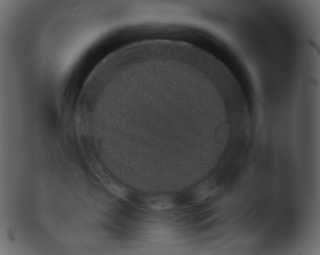 X0000103270431200809261206