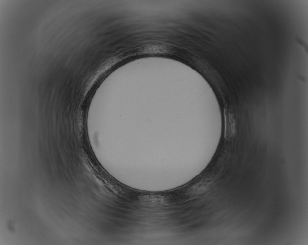 X0000103270435200809261206