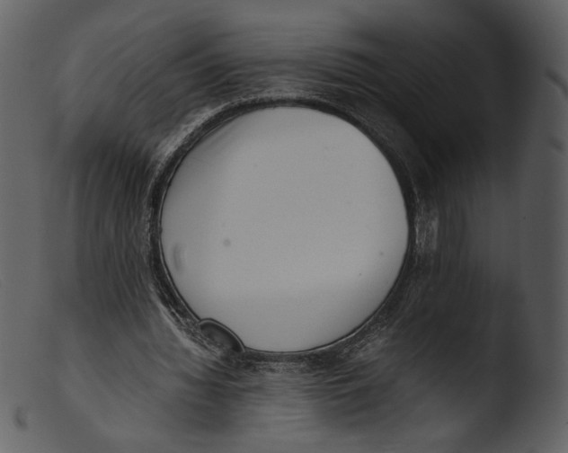X0000103270436200809261206