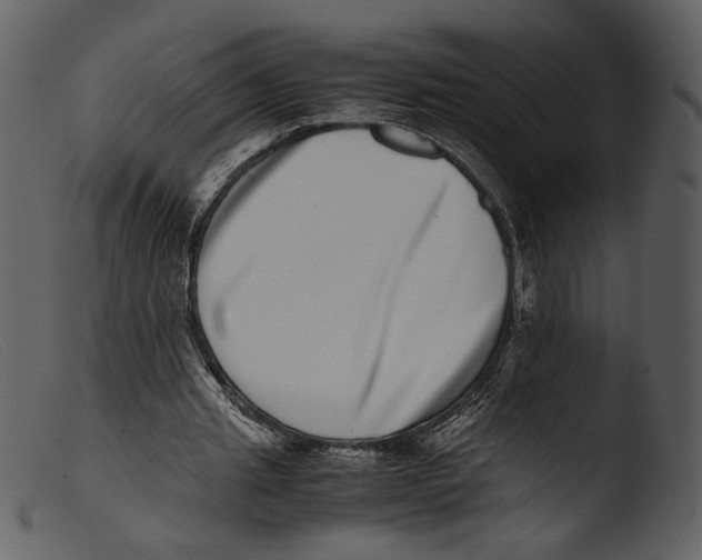 X0000103270437200809261206