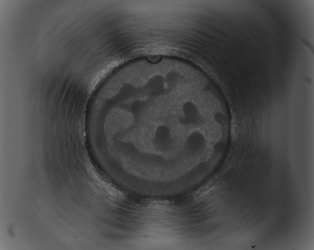 X0000103270438200809261206