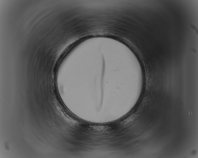 X0000103270439200809261206