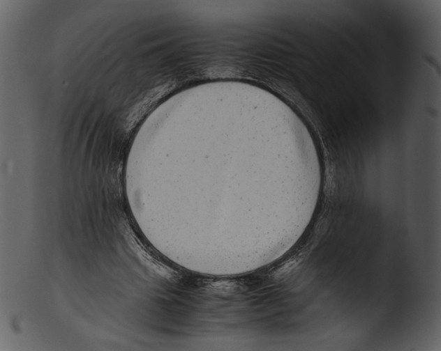 X0000103270441200809261206