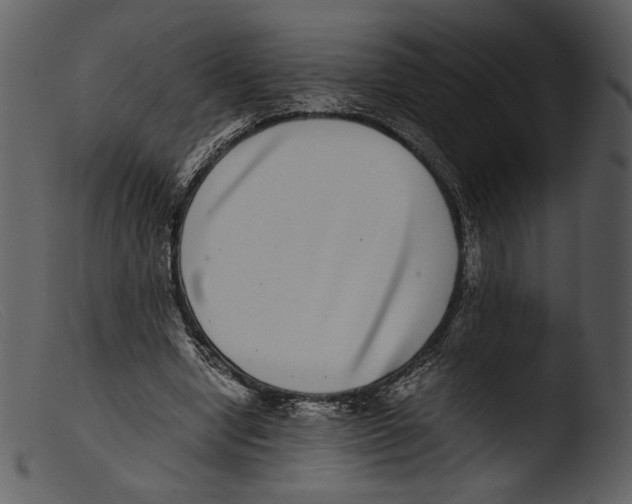 X0000103270442200809261206