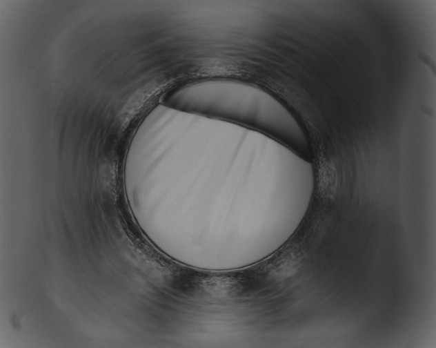 X0000103270444200809261206