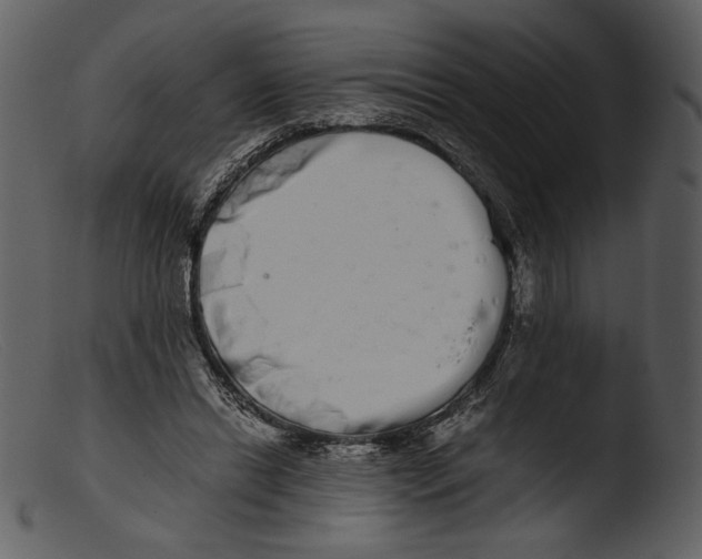 X0000103270446200809261206