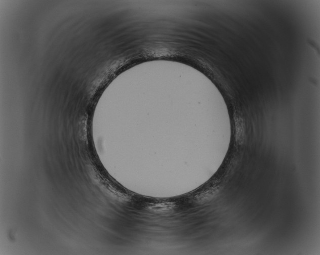 X0000103270447200809261206