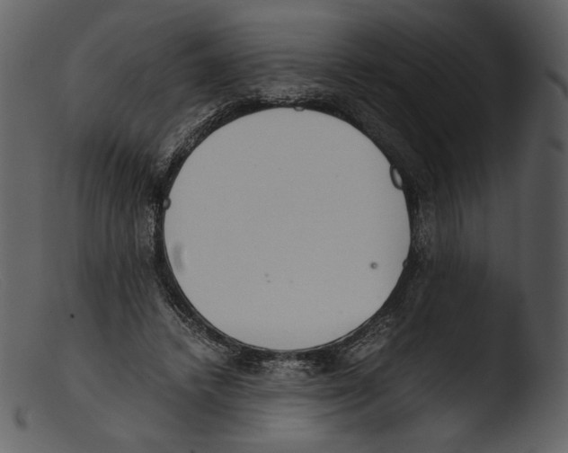 X0000103270448200809261206