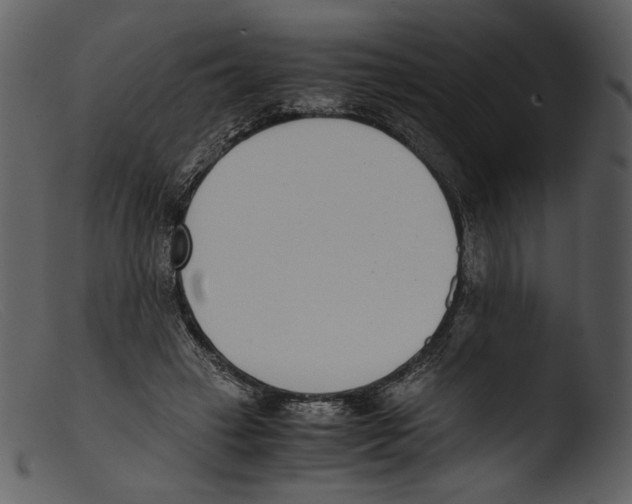 X0000103270449200809261206