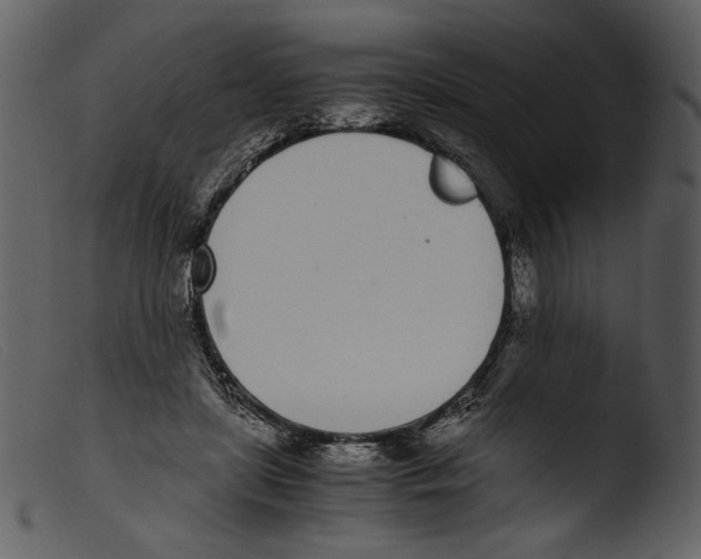X0000103270451200809261206
