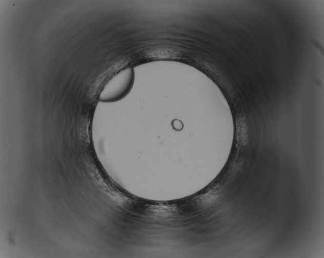 X0000103270453200809261206